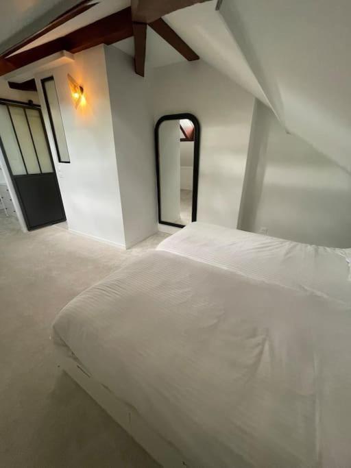 Le Grand Michelet Centre De Tours Appartement Buitenkant foto